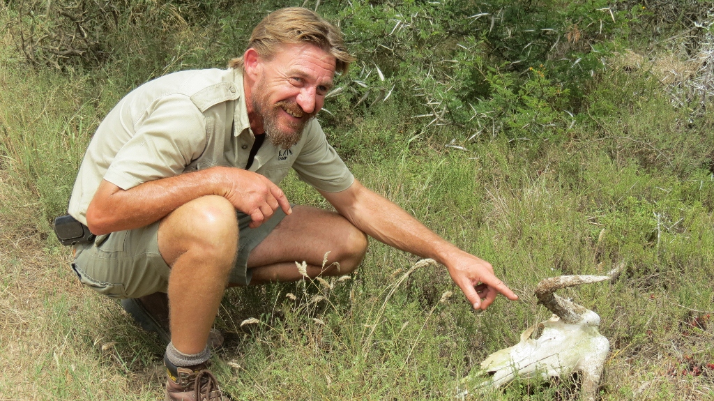 Quatermains Camp, Amakhala Game Reserve, Eastern Cape, South Africa (4)